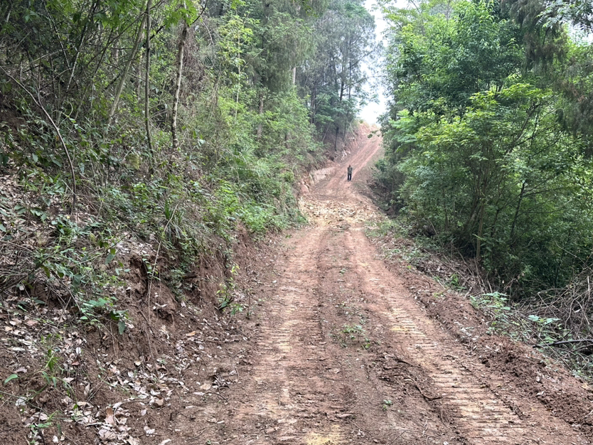 http://st-static1.xlyzyg.com/forums/2025/06/24/17507615875174.png
