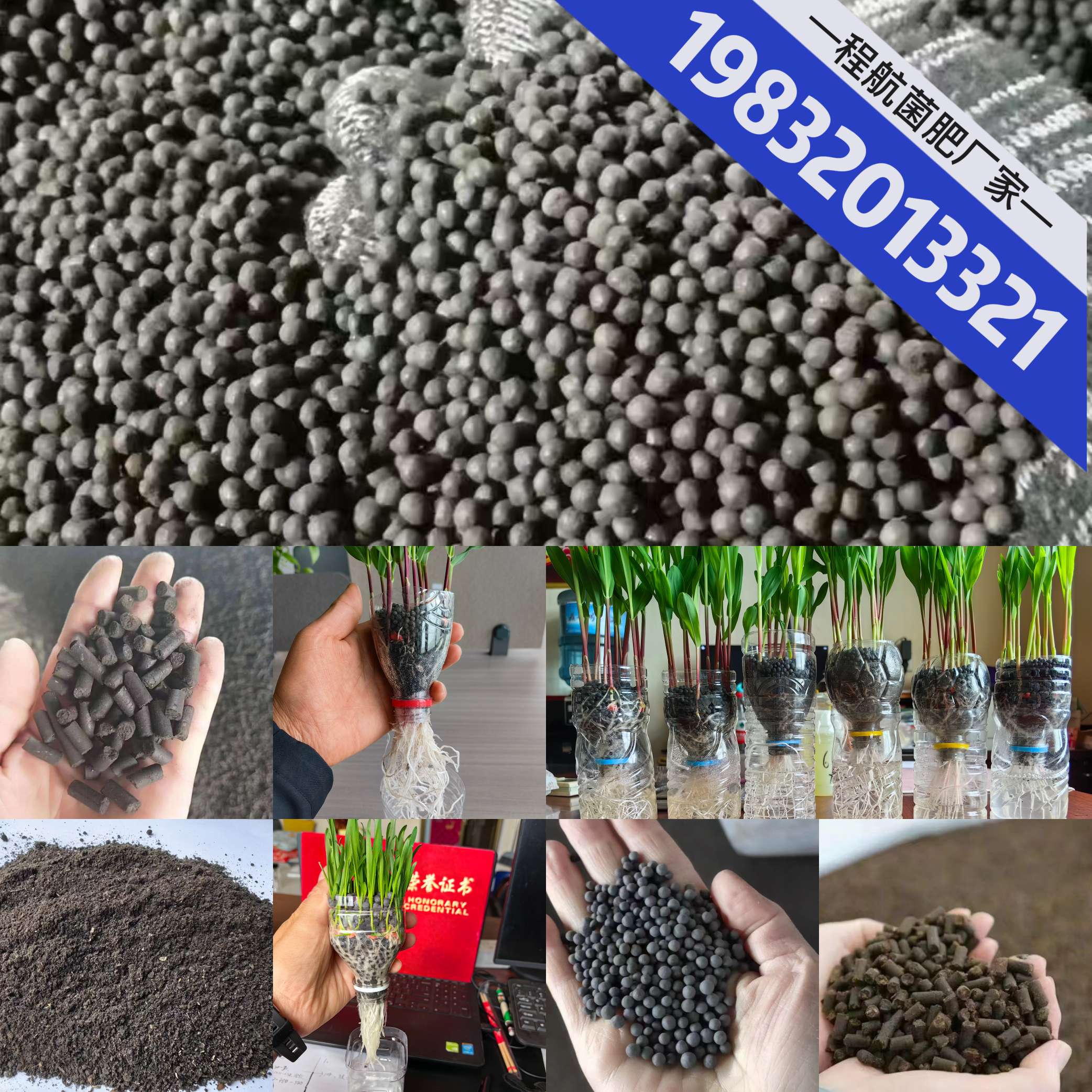 http://st-static1.xlyzyg.com/forums/2025/06/25/17508210784306.jpeg