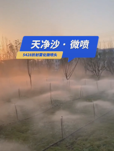 【天净沙&middot;微喷】枯藤老树昏鸦，草地仙境人家，地插微喷雾化，夕阳西下，灌溉，你问，我答！#5428折射雾化微喷头 #微喷 #华维集团