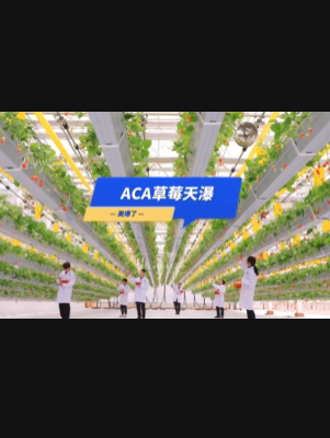 自由升降、追光生长。#ACA草莓天瀑，美爆了！向天再借500平！#ACA可控农业 #华维集团 #数字农业