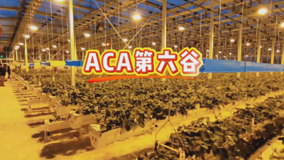 #ACA第六谷 模式，打造#ACA作物工厂，规划建园到栽培种植水肥管理一站式服务！#可控农业 #华维集团