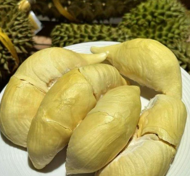 泰国甲仑榴莲
浓香满口，丝滑如奶油
甜甜糯糯，榴莲味浓郁
谁让它是泰国榴莲界的元