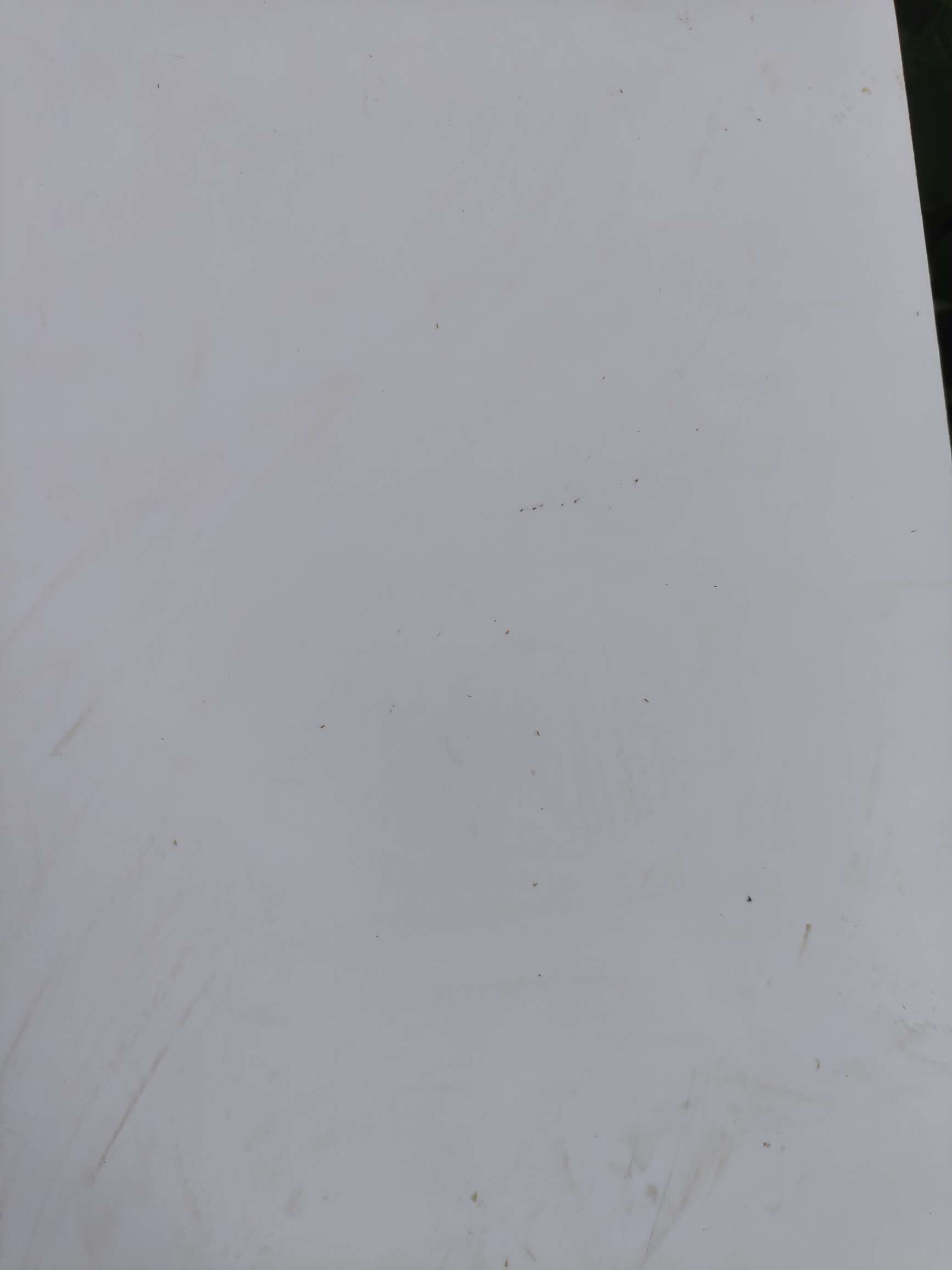 http://st-static1.xlyzyg.com/forums/2025/08/18/17555288245629.jpeg