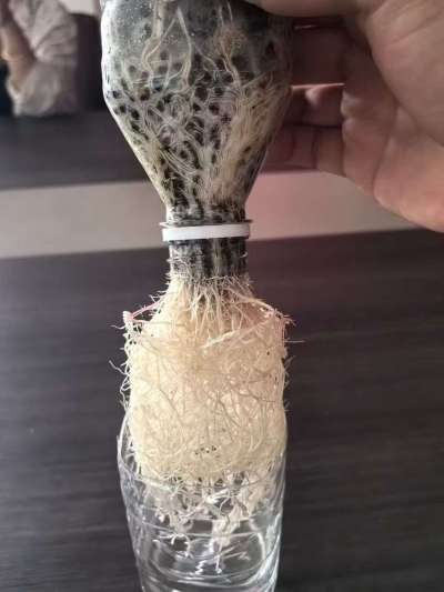 年销售量三十万吨的有机肥生产厂家，全国网点发货，资质齐全，正品保障！有机肥、生物菌肥、微生物肥料等