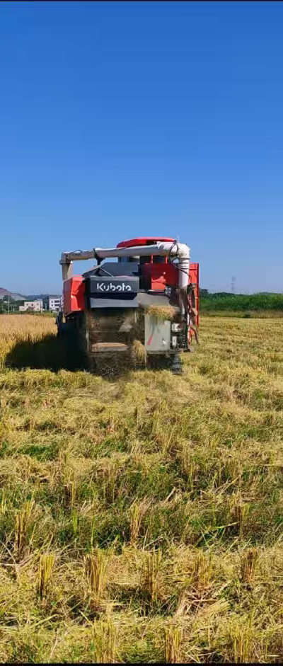惠州基地，无人拖拉机收水稻了。