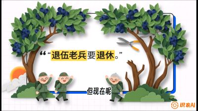 第7节：修剪决定产量（下）&mdash;&mdash;结果树的更新与疏果，课程：《蓝莓&ldquo;高产&rdquo;实战课：从选苗到丰收的10个关键点》