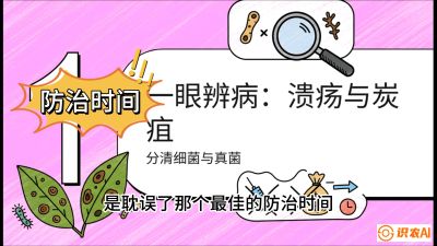 第三节：细菌与真菌&mdash;&mdash;溃疡病与炭疽病，课程：《柑橘十大病虫害：从入门到精通》