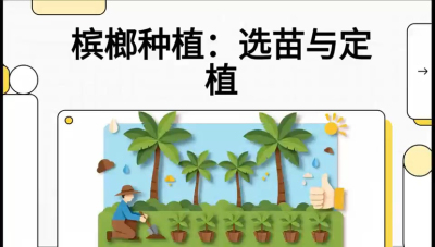 第01节：选苗与定植&mdash;&mdash;&ldquo;苗好一半收，底肥定千秋&rdquo;课程：《槟榔种植：从不懂到精通的10堂必修课》