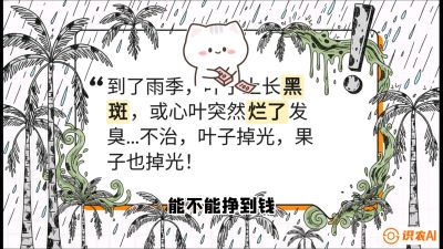 第05节：常见真菌病害&mdash;&mdash;&ldquo;炭疽与烂心，早防值千金&rdquo;《槟榔种植：从不懂到精通的10堂必修课》