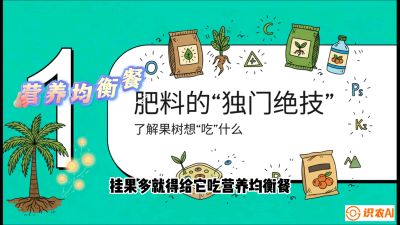 第07节：科学施肥&mdash;&mdash;&ldquo;氮磷钾配好，树壮果不倒