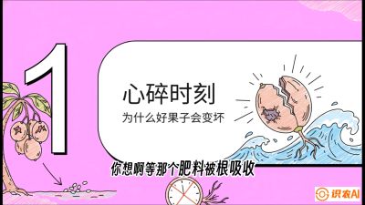 第08节：微量元素与保果&mdash;&mdash;&ldquo;补硼又补钙，果子不裂坏&rdquo;《槟榔种植：从不懂到精通的10堂必修课》