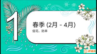 第10节：周年农事日历&mdash;&mdash;&ldquo;跟着节气走，丰产在手头&rdquo;《槟榔种植：从不懂到精通的10堂必修课》