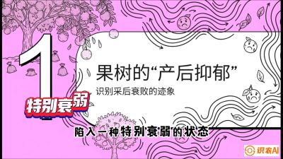 第2节：【冬肥策略】采后&ldquo;月子肥&rdquo;：大小年的精准干预术，课程：《柑橘底肥&ldquo;翻身账&rdquo;：从改土到高产的实战全书》
