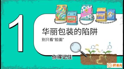 第4节：【黄金配方】底肥里的&ldquo;铁三角&rdquo;与&ldquo;微量雷区&rdquo;课程：《柑橘底肥&ldquo;翻身账&rdquo;：从改土到高产的实战全书》