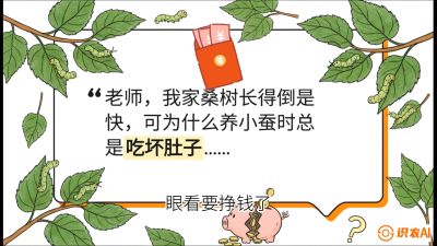 第01节：不仅仅是树&mdash;&mdash;顶级品种选配策略，课程：《桑海淘金：桑树高产与蚕桑安全进阶实战课》