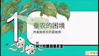 第06节：虫口夺叶（上）&mdash;&mdash;物理与生物防控绝技，课程《桑海淘金：桑树高产与蚕桑安全进阶实战课》