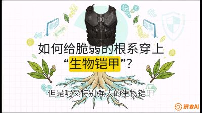 第三节：国产榴莲突围战：根系堡垒，菌根微生态构建与黄金定植窗口，课程：《国产榴莲突围战：从泰国经验到中国实操的8堂必修课（高阶实战版）》