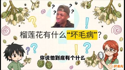 第六节：榴莲的午夜战事，夜间授粉战与花果期避雨策略，课程：《国产榴莲突围战：从泰国经验到中国实操的8堂必修课（高阶实战版）》