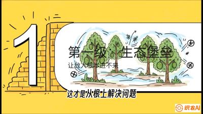 第七节：榴莲防御战：病虫害三级立体防控，疫霉菌与虫害的立体封锁线，课程：《国产榴莲突围战：从泰国经验到中国实操的8堂必修课（高阶实战版）》