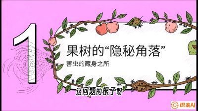 第3节：无人机专治&ldquo;打不透&rdquo;&mdash;&mdash;果树与高杆作物的穿透技巧，课程：《无人机植保搞钱必修课：从&ldquo;瞎飞&rdquo;到&ldquo;懂行&rdquo;的6步进阶》