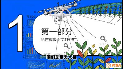 第5节：无人机也能&ldquo;看病抓药&rdquo;&mdash;&mdash;处方图与变量施肥入门，课程：《无人机植保搞钱必修课：从&ldquo;瞎飞&rdquo;到&ldquo;懂行&rdquo;的6步进阶》