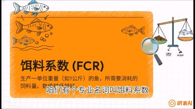 第五节：【高端单品&middot;鳜鱼】&ldquo;饲料鳜&rdquo;技术：打破吃活饵的高成本魔咒，课程：《黄金鳞甲：2025中国淡水鱼高效养殖实战营》