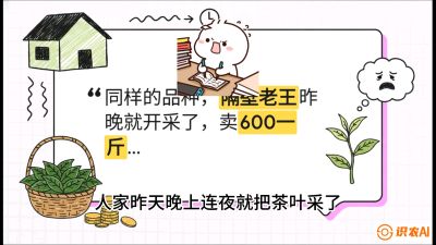 第01节（抢早篇）：与老天爷抢饭吃：如何利用&ldquo;温差阈值&rdquo;让头采茶提前5天上市？，课程：《茶金时代：从&ldquo;看天吃饭&rdquo;到&ldquo;精准控局&rdquo;的茶叶高产提质实战课》