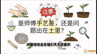 第02节（土肥篇）：告别&ldquo;苦涩水味&rdquo;：揭秘&ldquo;碳氮比&rdquo;调控术，种出自带兰花香的好茶底，课程：《茶金时代：从&ldquo;看天吃饭&rdquo;到&ldquo;精准控局&rdquo;的茶叶高产提质实战课》