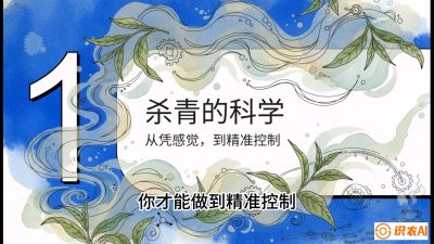 第05节（加工篇）：决胜2分钟：用&ldquo;数字温控&rdquo;破解杀青不匀，复刻大师级手工口感，课程：《茶金时代：从&ldquo;看天吃饭&rdquo;到&ldquo;精准控局&rdquo;的茶叶高产提质实战课》