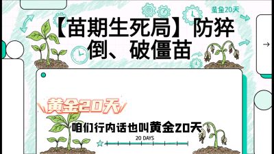 第2节：【苗期生死局】防猝倒、破僵苗，决定后期产量的&ldquo;黄金20天&rdquo;，课程：《辣椒种植实战特训营，从工业辣椒到精品小米辣，教你如何把&ldquo;草&rdquo;种成&ldquo;金&rdquo;》