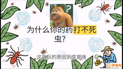 第4节：【虫害歼灭战】打不死的蓟马、隐形的茶黄螨：抗性时代的&ldquo;混配绝杀&rdquo;，课程：《辣椒种植实战特训营，从工业辣椒到精品小米辣，教你如何把&ldquo;草&rdquo;种成&ldquo;金&rdquo;》