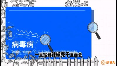 第5节：【病毒病阻击】辣椒的&ldquo;癌症&rdquo;怎么治？从&ldquo;绝收恐慌&rdquo;到&ldquo;带毒生产&rdquo;的逆转术，课程：《辣椒种植实战特训营，从工业辣椒到精品小米辣，教你如何把&ldquo;草&rdquo;种成&ldquo;金&rdquo;》