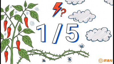 第6节：【花果爆发术】落花落果的五大元凶，与&ldquo;三喷一保&rdquo;坐果黑科技，课程：《辣椒种植实战特训营，从工业辣椒到精品小米辣，教你如何把&ldquo;草&rdquo;种成&ldquo;金&rdquo;》