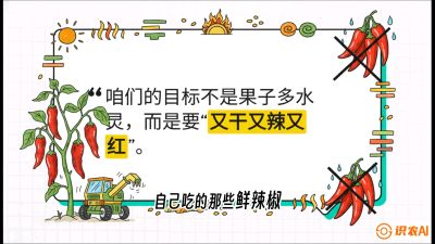第7节：【工业辣椒专场】追求极致辣度！干物质提升与机械化采收的&ldquo;催红秘籍&rdquo;，课程：《辣椒种植实战特训营，从工业辣椒到精品小米辣，教你如何把&ldquo;草&rdquo;种成&ldquo;金&rdquo;》