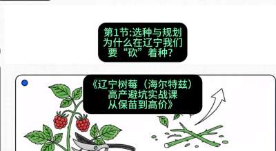 第一节： 选种与规划&mdash;&mdash;为什么在辽宁我们要&ldquo;砍&rdquo;着种？，课程：《辽宁树莓（海尔特兹）高产避坑实战课：从保苗到高价》