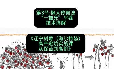 第三节： 懒人修剪法&mdash;&mdash;&ldquo;一推光&rdquo;平茬技术详解，课程：《辽宁树莓（海尔特兹）高产避坑实战课：从保苗到高价》