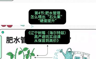 第四节： 肥水管理&mdash;&mdash;怎么喂出&ldquo;石头果&rdquo;（硬度提升），课程：《辽宁树莓（海尔特兹）高产避坑实战课：从保苗到高价》