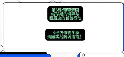 第6节：【葡萄清园】绒球期的博弈与画眉虫的&ldquo;斩首行动&rdquo;，课程：《经济作物冬季清园&middot;实战防坑指南》#识农AI