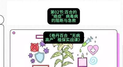 第02节：百合的&ldquo;癌症&rdquo;&mdash;&mdash;病毒病的阻断与急救，课程：《卷丹百合&ldquo;无病高产&rdquo;植保实战课》#识农AI