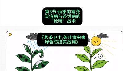 第03节：雨季的霉变&mdash;&mdash;炭疽病与茶饼病的&ldquo;抢晴&rdquo;战术，课程：《茗茶卫士&mdash;&mdash;茶叶病虫害绿色防控实战课》#识农AI