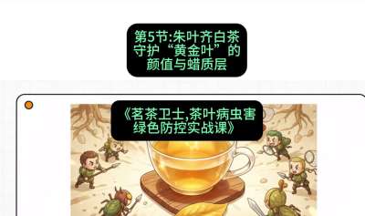 第05节：朱叶齐白茶&mdash;&mdash;守护&ldquo;黄金叶&rdquo;的颜值与蜡质层（重点），课程：《茗茶卫士&mdash;&mdash;茶叶病虫害绿色防控实战课》#识农AI