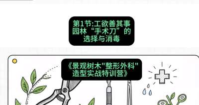 第01节：工欲善其事&mdash;&mdash;园林&ldquo;手术刀&rdquo;的选择与消毒，课程：《景观树木&ldquo;整形外科&rdquo;造型实战特训营》#识农AI