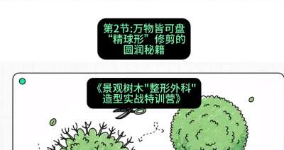 第02节：万物皆可盘&mdash;&mdash;&ldquo;精球形&rdquo;修剪的圆润秘籍，课程：《景观树木&ldquo;整形外科&rdquo;造型实战特训营》#识农AI