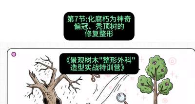 第07节：化腐朽为神奇&mdash;&mdash;偏冠、秃顶树的修复整形，课程：《景观树木&ldquo;整形外科&rdquo;造型实战特训营》#识农AI