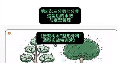 第08节：三分剪七分养&mdash;&mdash;造型后的水肥与定型管理，课程：《景观树木&ldquo;整形外科&rdquo;造型实战特训营》#识农AI