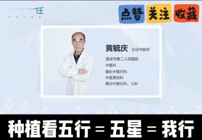 中药材淫羊藿怎么种？听专家一次讲明白！不挑地块好管理，耐寒耐旱省心省力，新手也能轻松上手，药用价值高、市场需求稳，妥妥的增收好品种～ 从生长习性到采收要点，干货满满无废话，种植疑问直接问，一对一答疑解