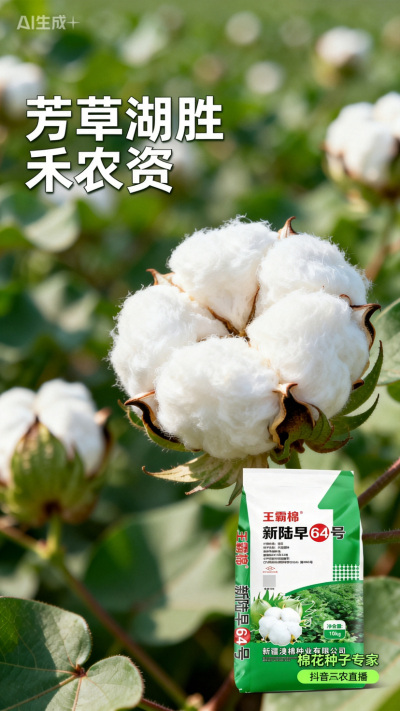 新疆棉花澳棉种业王霸棉，还有其它都好