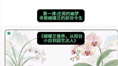 第一节：庄周的幽梦：寻根蝴蝶兰的前世今生，课程：《蝴蝶兰雅养六讲：从阳台小白到园艺达人》#识农AI