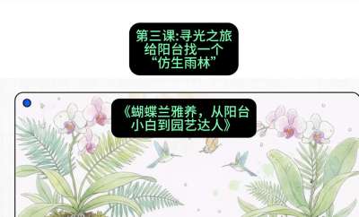 第三节：寻光之旅：给阳台找一个&ldquo;仿生雨林&rdquo;，课程：《蝴蝶兰雅养六讲：从阳台小白到园艺达人》#识农AI