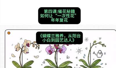 第四节：催花秘籍：如何让&ldquo;一次性花&rdquo;年年复花，课程：《蝴蝶兰雅养六讲：从阳台小白到园艺达人》#识农AI
